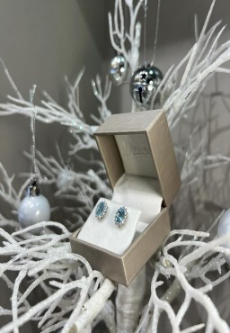 ❄️ Winter wonderland earrings ❄️ 

These beautiful 18ct white gold aquamarine and diamond cluster earrings are the perfect pair for under your tree! 

#labgrowndiamonds #naturaldiamonds #jewelleryquarterbirmingham #jewelleryquarter