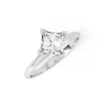 WINTER | Petite NSEW Box Claw Set Princess Cut Engagement Ring